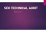 do a professional SEO technical audit for your website